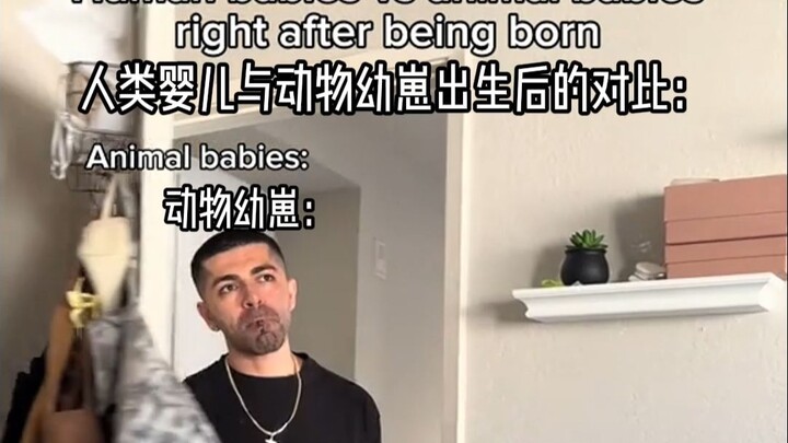 การเปรียบเทียบระหว่างทารกมนุษย์กับลูกสัตว์หลังคลอด: