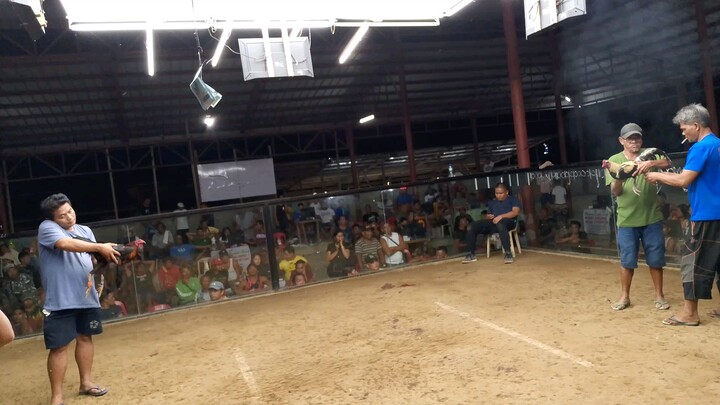 brownxsecret line in action unscratched 🔥