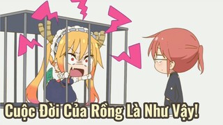 Cuộc Đời Của Rồng Là Như Vậy!