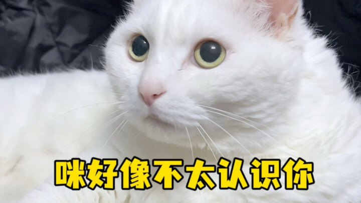 Mi doesn’t seem to know you very well.