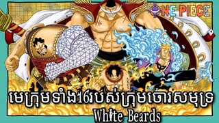 OnePiece/ក្រុមចោរសមុទ្រពុកមាត់ស