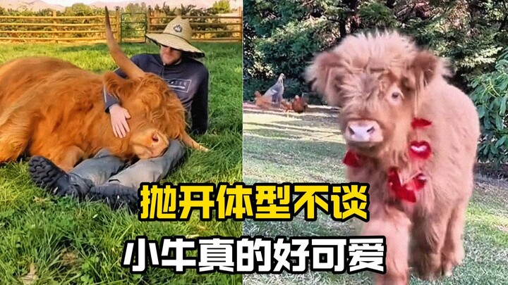 Now this is the real deal: the older we get, the “heavier” love becomes!