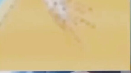 เด็กคนนี้ถือเป็นของขวัญที่มอบให้คุณแล้วกัน