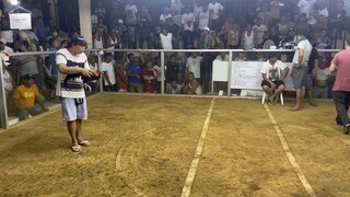 YLH (5cock derby champion 4th fight)