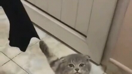 “Tag orang termanis di dunia untuk nonton nih!”