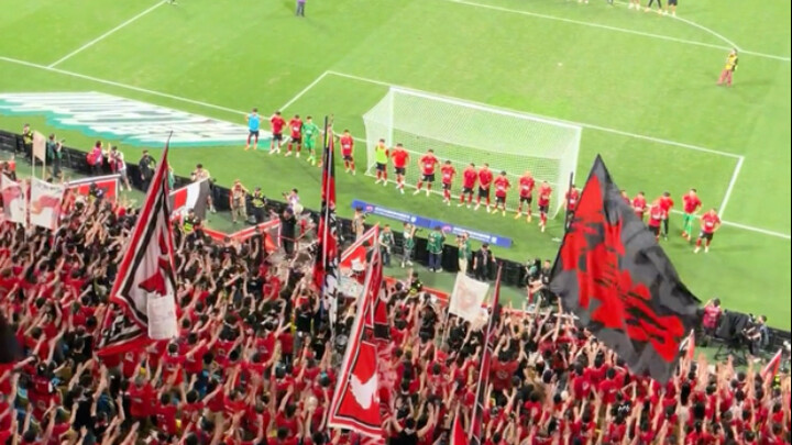 الصين لديها أفضل المشجعين، وقيمة هذه العبارة تزداد باستمرار!!!