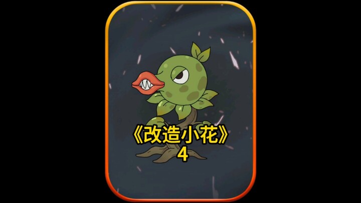 改造小花