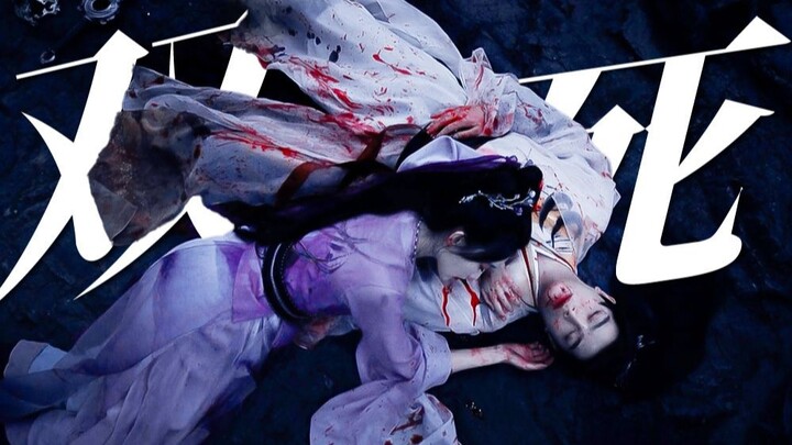 "If I can die beside you, my life will not be in vain." Double death BE, they both died in that batt