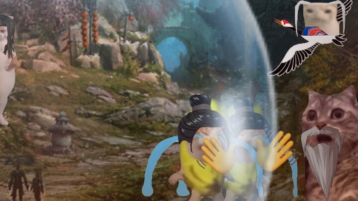 【Cat meme】Oh, I am at the peak of the third level