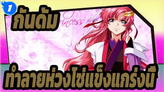 กันดั้ม |[SEED]โปรดให้พลังแก่เราที่จะทำลายห่วงโซ่แข็งแกร่งนี้!_1