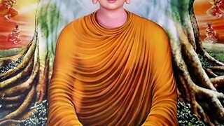 Buddha's Path