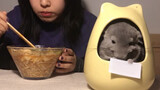 Totoro Mengurung Diri Di Tengah Malam, Ingin Jadi Idiot Cantik