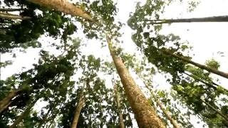 Tetangga Masa Gitu MDTV - 20/21 Juli 2025