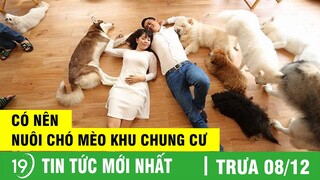 Nên hay không nên nuôi chó mèo ở chung cư | Thời Sự 19H