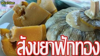 สอนทำ "สังขยาฟักทอง" สูตรเนื้อเนียน นุ่ม สอนทำขนมไทย ทำอาหารง่ายๆ / ครัวป้าจิตร