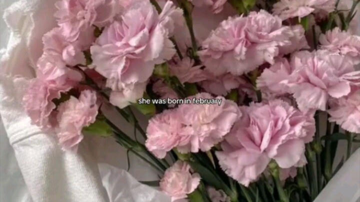 Pov:- She was born in February