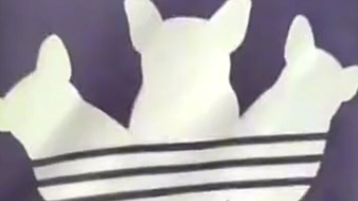 adidogs