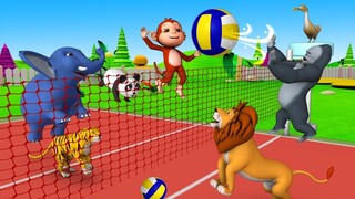 Funny Animals Play Volley Ball in Forest with Monkey & Gorilla | Animals Cartoon Comedy Video