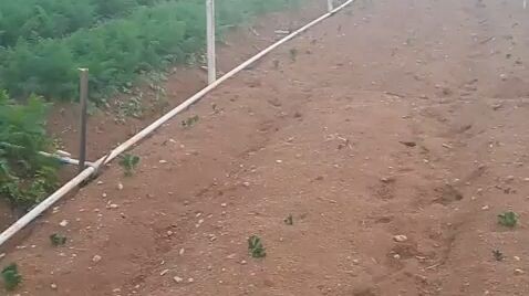 beda masa muda beda masa tua