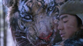 山君:就踏马你叫武松啊