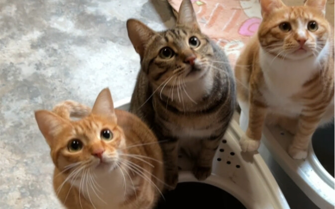 เมื่อเพื่อนถามฉันว่าฉันอยู่บ้านกับใคร