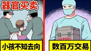 人体器官买卖的中间商，肾臓一格价格是多少？