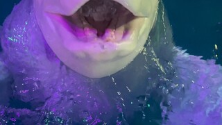 Feeding both Big White and Little Black takes quite a long time, so each time I can only feed one of