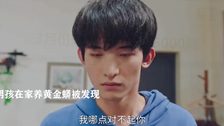 A boy kept a golden python as a pet, unaware that this one act nearly ruined his entire life.