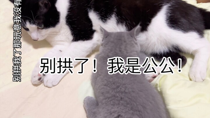 Đừng chọc nữa, tôi không có đâu, tôi là con đực mà!