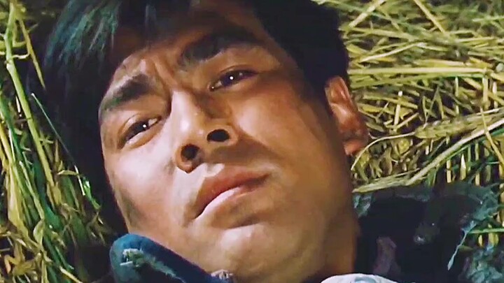 แค่คำพูดเบาๆ ว่า “ผิดไปแล้ว” — ความคับข้องใจที่สะสมมานานสองสิบปี จะชดเชยได้อย่างไร?