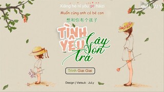 [Vietsub] Tình Yêu Cây Sơn Tra - Trình Giai Giai | 山楂树之恋 - 程佳佳