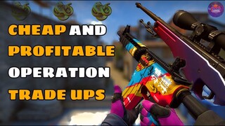 CHEAP AND PROFITABLE OPERATION TRADE UPS | elsu