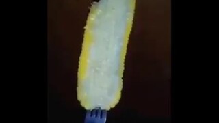 makan jagung 🌽