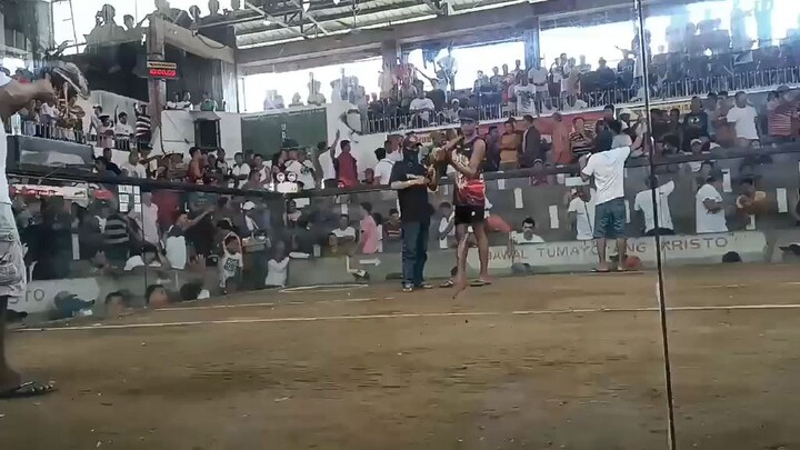 1 win Maya