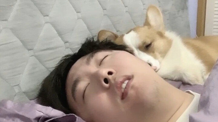 Apa yang pacarmu lakukan saat kamu tidak bisa tidur? Bahkan anjingnya...