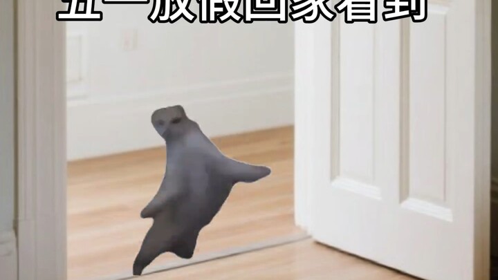 五一放假回家看到