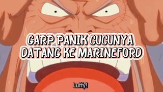 Garp Panik Ketika  Luffy Datang Kemarineford