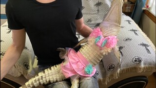 Little crocodile bikini outfit