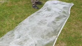 เรือ ขอแนะนำวิธีที่ไม่ยากและต้นทุนต่ำให้ทุกคนเลย รับไปได้เลย ไม่ต้องขอบคุณนะ