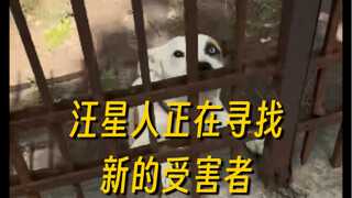 汪星人正在寻找新的受害者