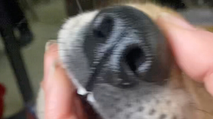 I finished an early shift today—so happy! 😃