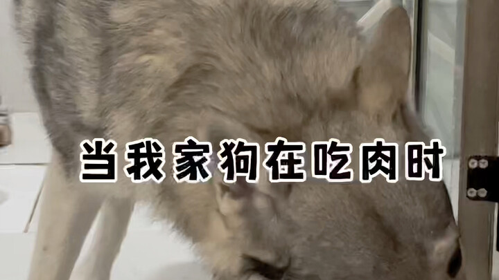 ฉันไม่คิดว่าจะมีคนแปลกหน้าบุกรุกเข้ามาในบ้านของฉันทันทีในชีวิตนี้