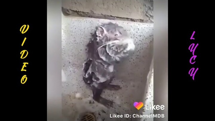 kumpulan video lucu😂//kocak 😂🤣