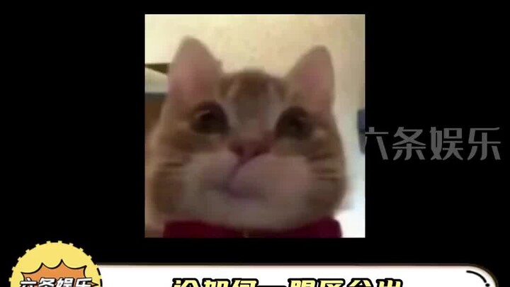 كيف تميّز معجبي الصين واليابان وكوريا في قسم التعليقات من النظرة الأولى؟ #جائزة_التعليقات_الترفيهية 