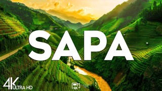 Top 10 Best Things to do in Sapa, Vietnam [Sapa Travel Guide 2025]