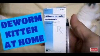 How to deworm kitten using Albendazole Microzole