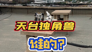 这是谁的独角兽，没人要吗？