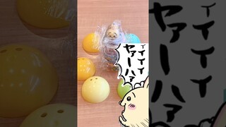 くら寿司 ちいかわ ビッくらポン！確率アップした結果！！✨#ちいかわ #chiikawa #sushi