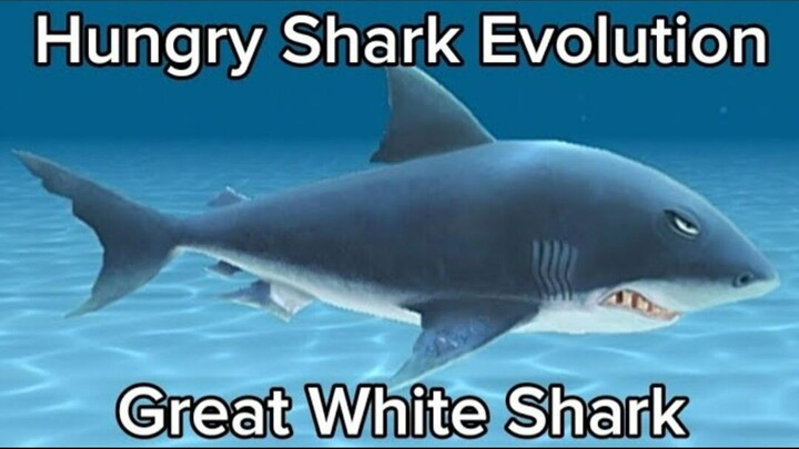 Hungry Shark Evolution (Great White Shark) #BstationGamers #bestofbest