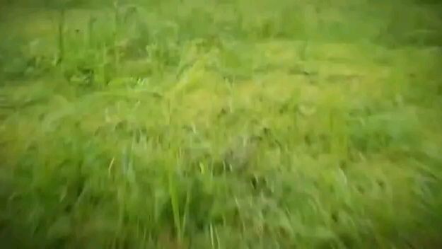 si kuning vs si topeng